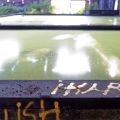 DSC_0410_DxO.jpg